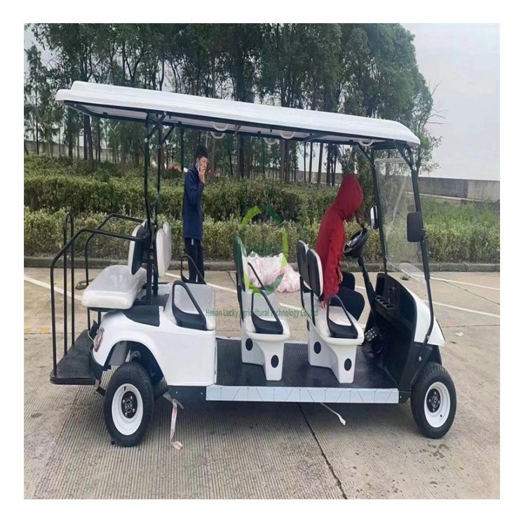 Chinese 4 6 Seater Electric Golf Cart Mini Wholesale Tire Wheels Golf Cart High Quality Golf Cart For Sale