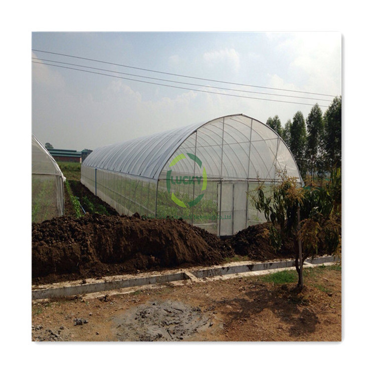 Popular Indoor Environmental Shade Nets Passive Plants Cold Frame Industrial Fully Automation Hydroponic Green House