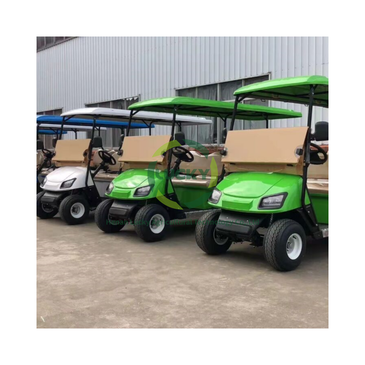 China Factory Made Adults Vehicle Lithium 48V 150Ah Battery Independent Suspension Electric Golf Cart With Screen