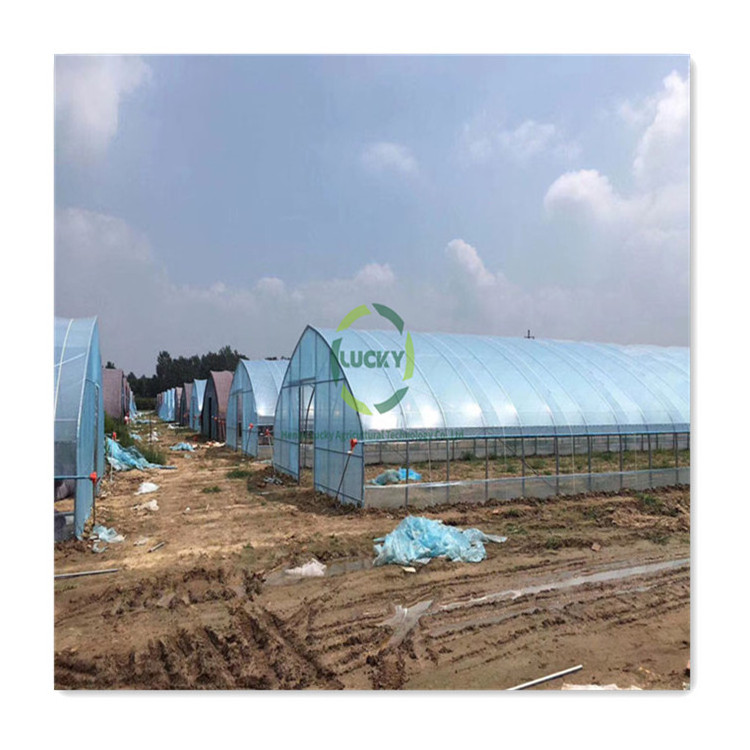 High Quality Irrigation System Plastic Film Agricultural Polytunnel Green House Inflatable Greenhouse Equipment