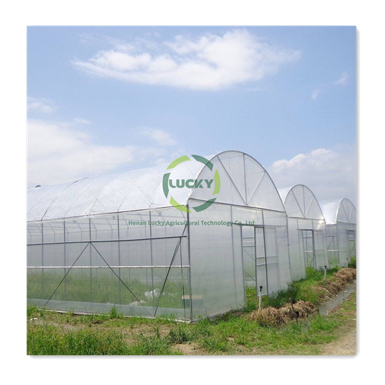 Agricultural 300 Square meter low cost single span tunnel vegetable greenhouse used for sale