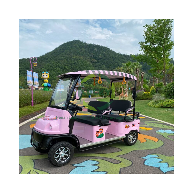 Proper Price Top Quality 48V Lithium Ion Golf Cart Battery Cheap Gas Powered 4 Seater Gas Handicap Pink Golf Cart