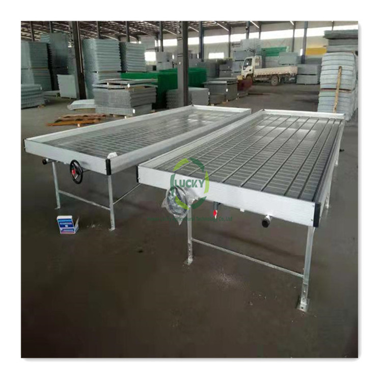 New Premium Growing Tray 4X8 Flood Ebb And Flow System Automatic Commercial Grade Grow Racks And Rolling Benches Flood Trays