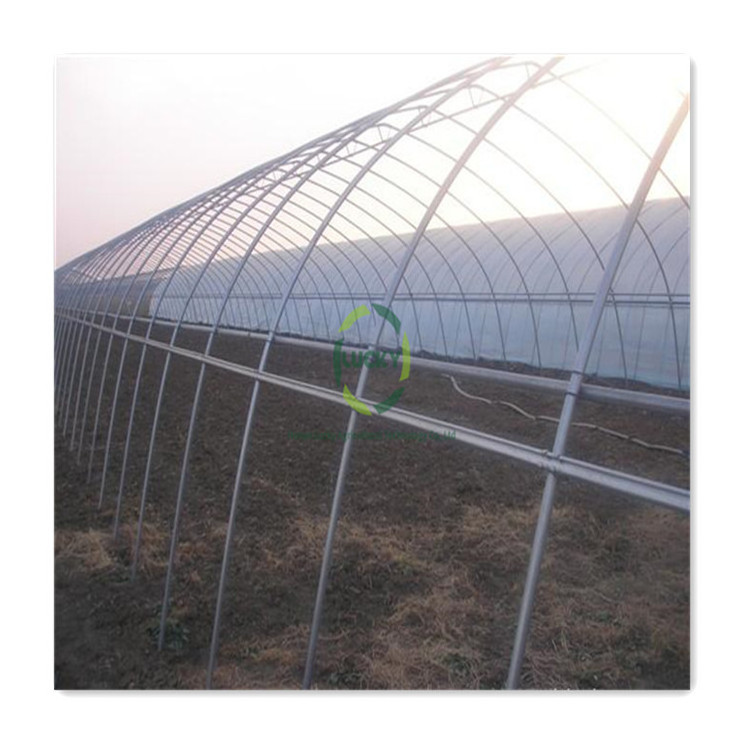 PE Film Farm Single Span High Tunnel Sliding Doors Hot Galvanized Arch Pipe Greenhouse Steel Frame With Insect Net