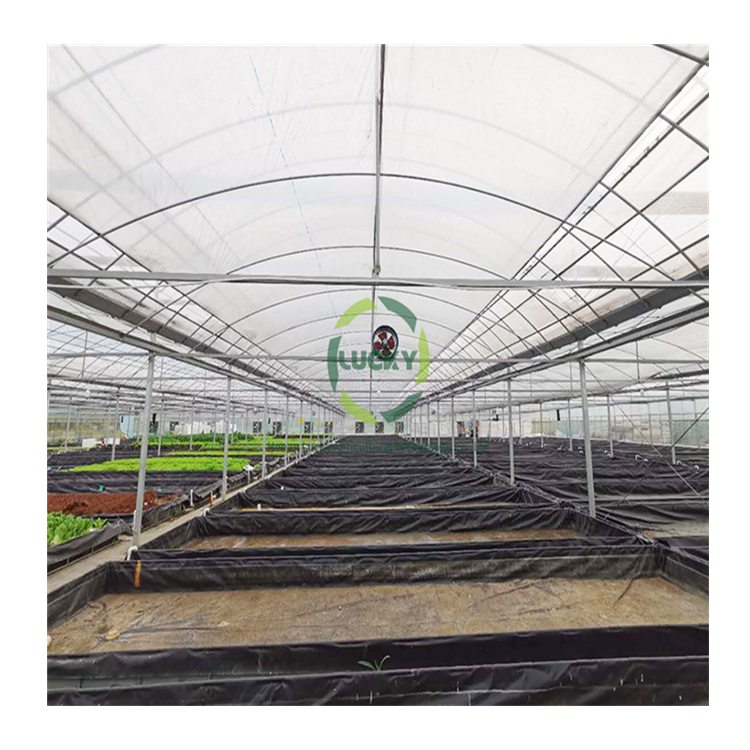 Low Cost Green House Accessories Whole Set Sliding Doors Polycarbonate Panels Agriculture Greenhouses