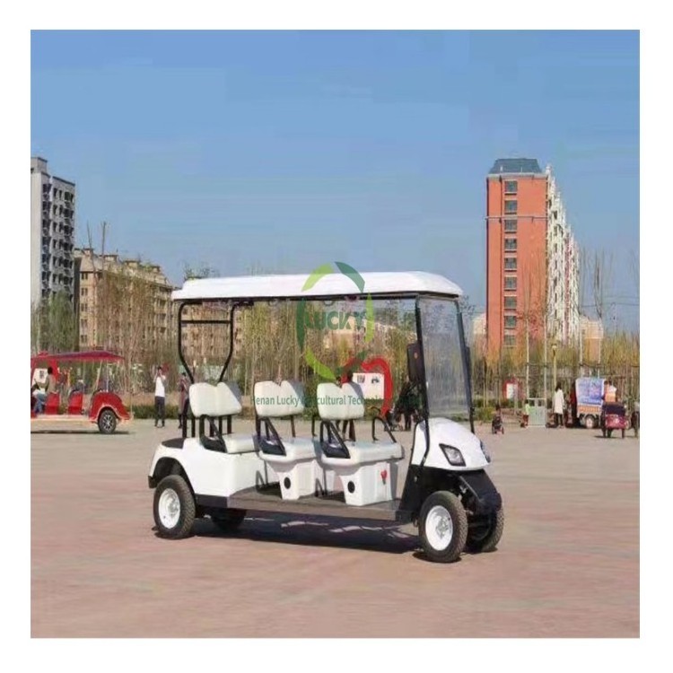 New Product Explosion Lithium Electric Right Hand Golf Cart With Cargo Delivery Carriage Wheels And Tires 14