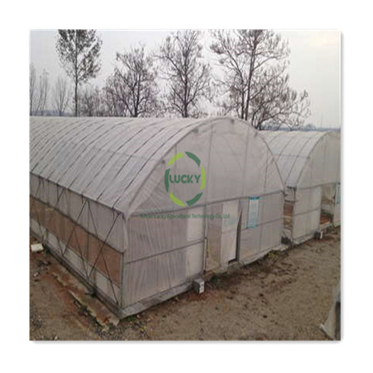 Agricultural 300 Square meter low cost single span tunnel vegetable greenhouse used for sale