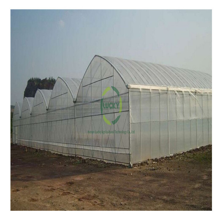 Modern Climate Controlled Used Cold Frame Green House Polycarbonate Garden Plastic Film Winter Greenhouse For Sale