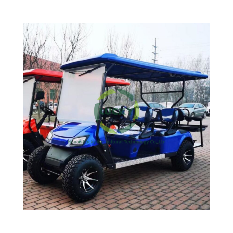 Stock Available 4 Seater Battery Powered Gas Powered Vintage Classic Golf Cart With Golf Club Washer Cart Ball Cleaner