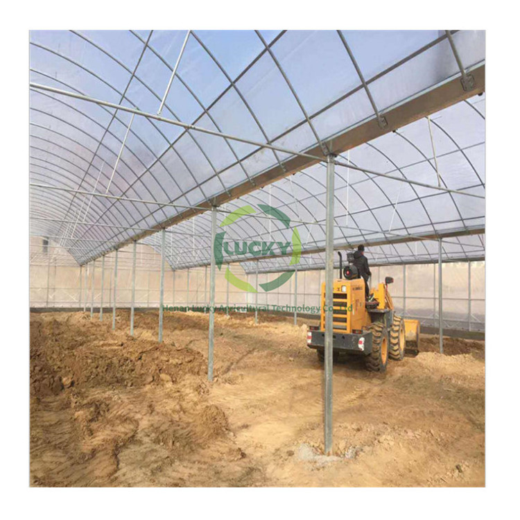 Raised Garden Bed Agriculture Lights Mushroom Grow System Greenhouse With  Construction Engineering