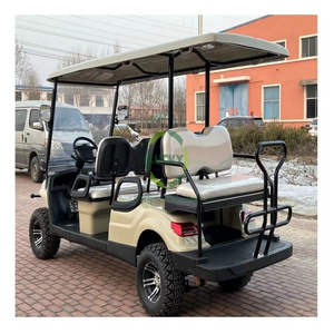 High Quality Wholesale Street Legal Electric Transaxle Gasoline Engine 72V 6 Seater Controllers Enclosures Golf Cart