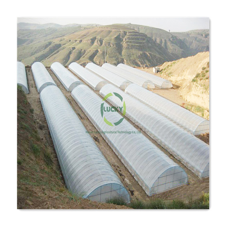 Agricultural 300 Square meter low cost single span tunnel vegetable greenhouse used for sale