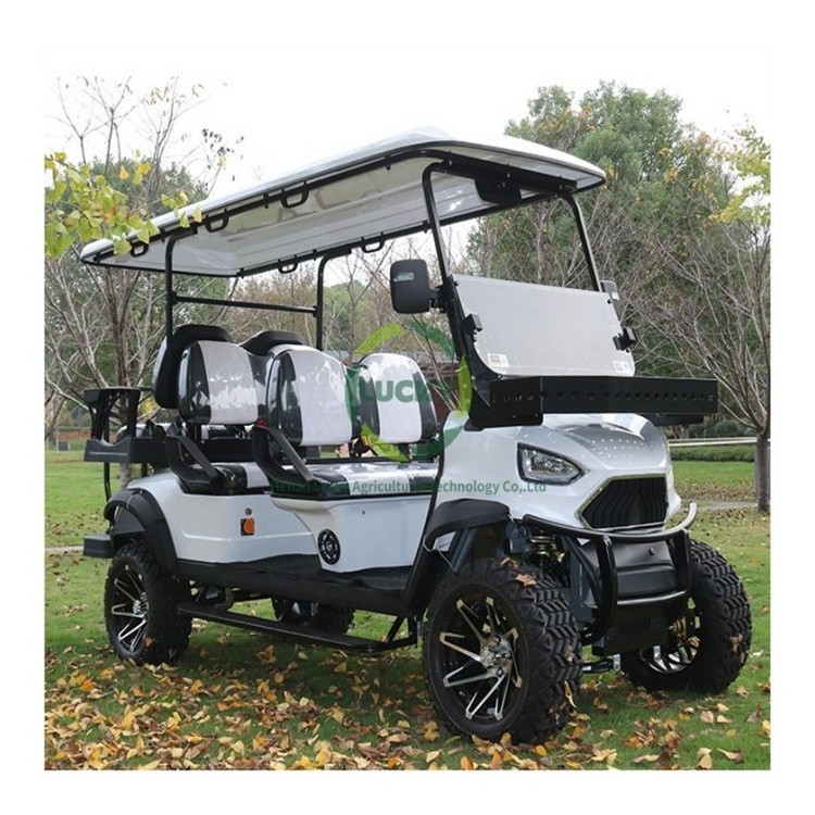 Golf Buggy Resort Hotel Airport Cart Bus Villas 4 Wheel Drive Electric Gas Powered Petrol Rear Axle 6 Seater Golf Cart