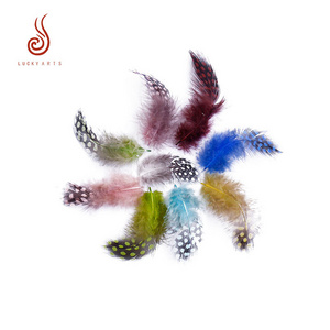 marabou Hot selling natural and dyed guinea feather pearl chicken feather for jewelry making decoration motorised peek-a-boo  play with