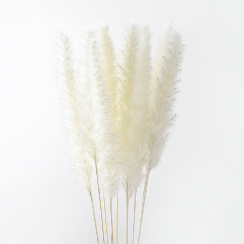 LW001 hot selling wedding party event favor pampas grass artificial pampas natural dried grass wholesale