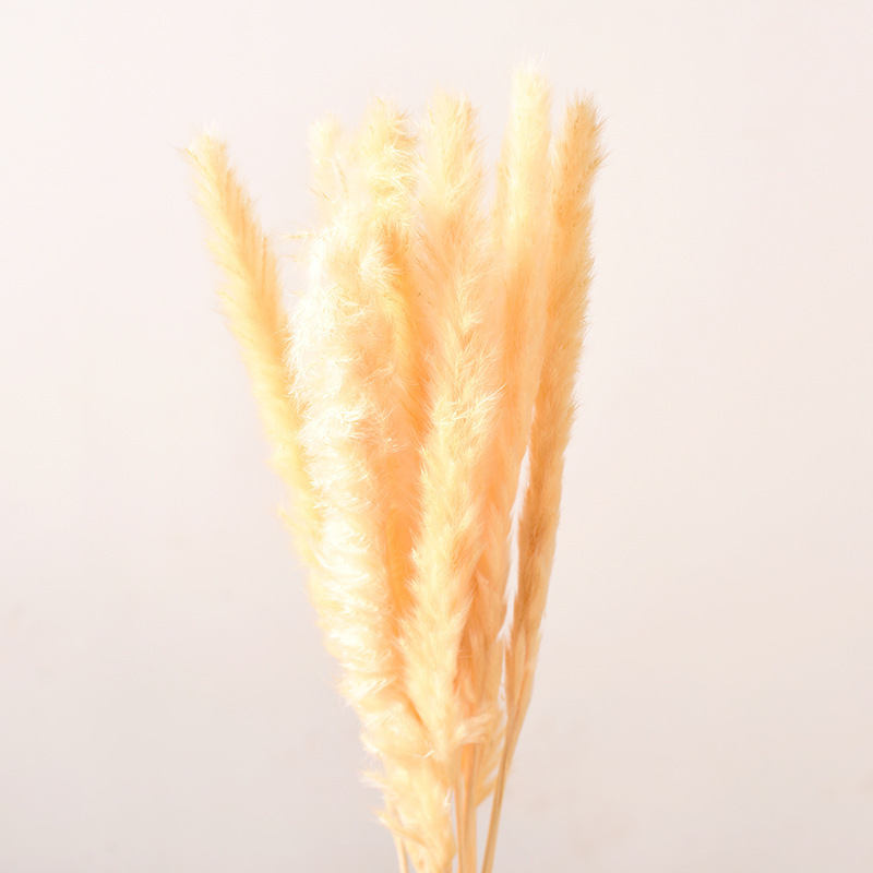 LW001 hot selling wedding party event favor pampas grass artificial pampas natural dried grass wholesale