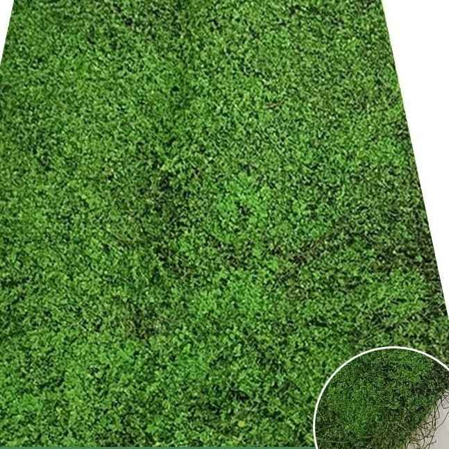 ZW230056 Artificial Grass Outdoor Playground Artificial Carpet Grass For Garden Landscaping Football Artificial Grass