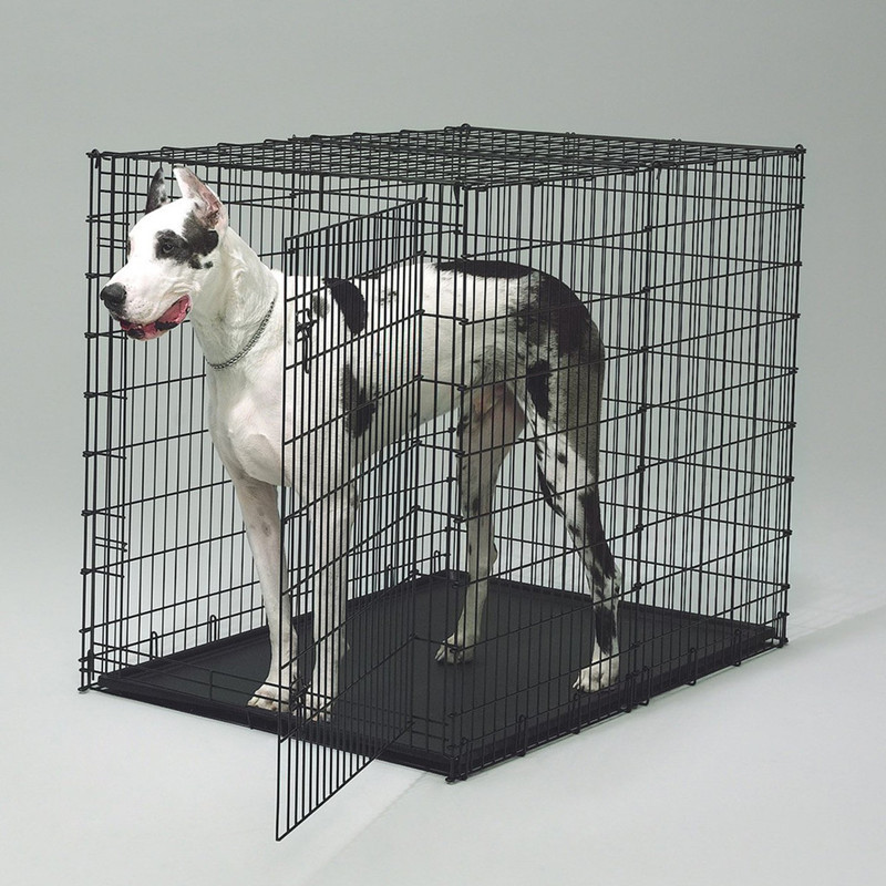 Dog Fence Cage Double Door Custom Folding Metal Pet Crates Dog Cage for Large Dogs with Plastic Tray