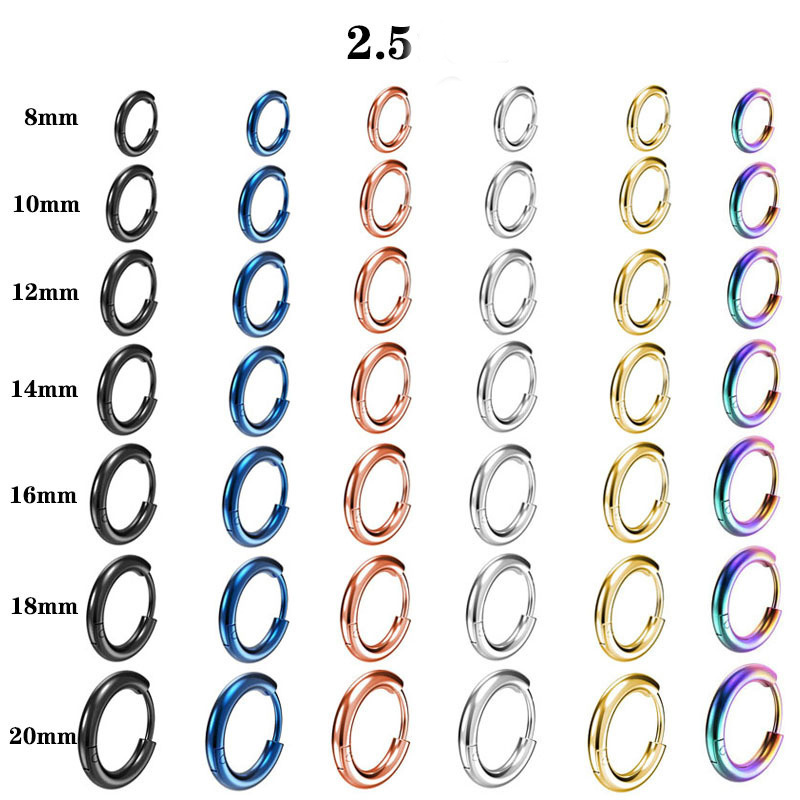 Rose Gold Plated Classic Stainless Steel Hoop Huggie Earring 8mm10mm12mm14mm16mm Colorful Plain Huggie Hoop Earrings Unisex