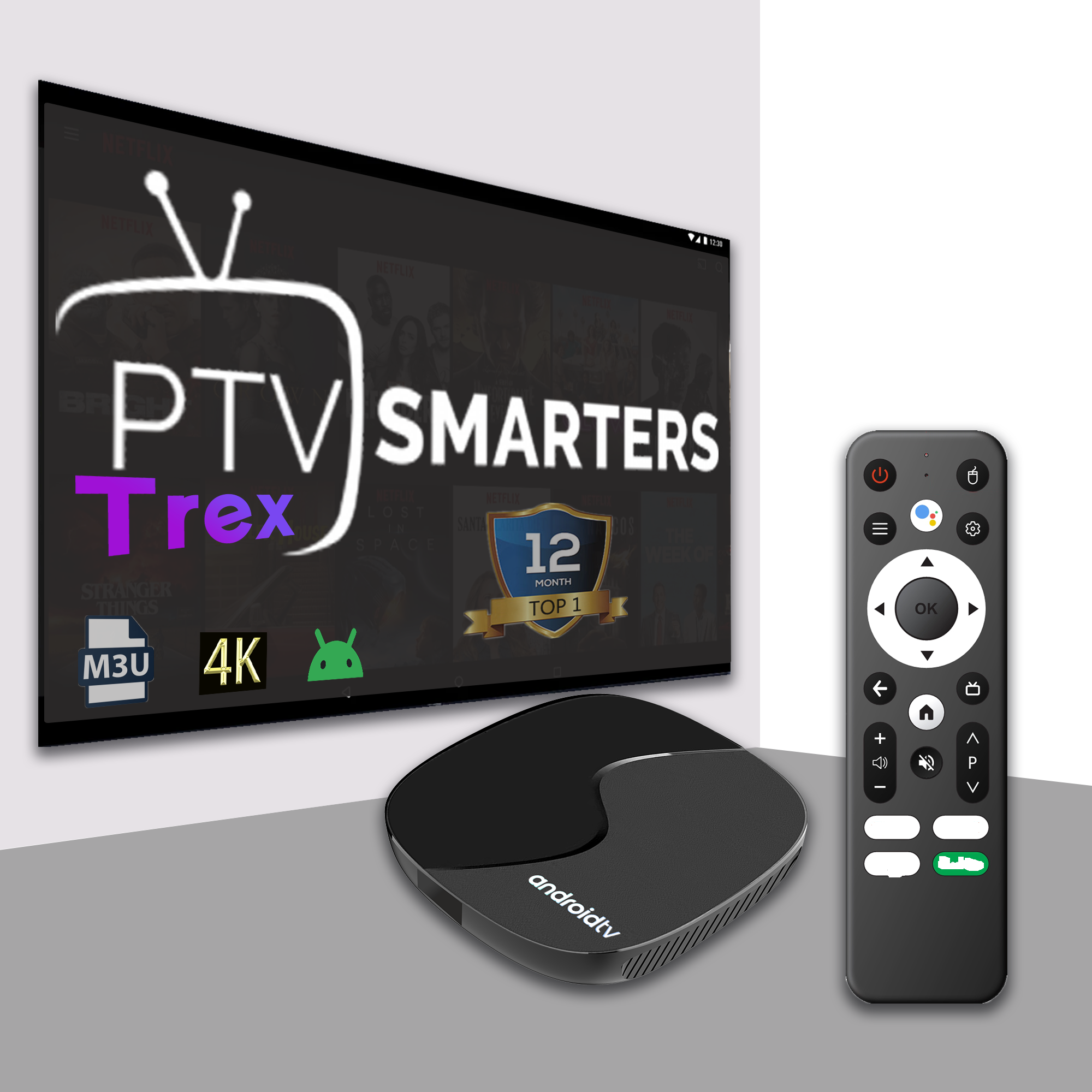 Box for Free Trial 4K IPTV Subscription 12months M3u List Free Test Code Reseller panel M3U 4K Reseller Panel Iptv m3u TV Box