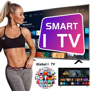 2024 IP--TVs Sweden ex yu Israel Arabia Swiss Panel Reseller 12 Mois M3U TV Box Smarters Pro tv sticks adult UK USA