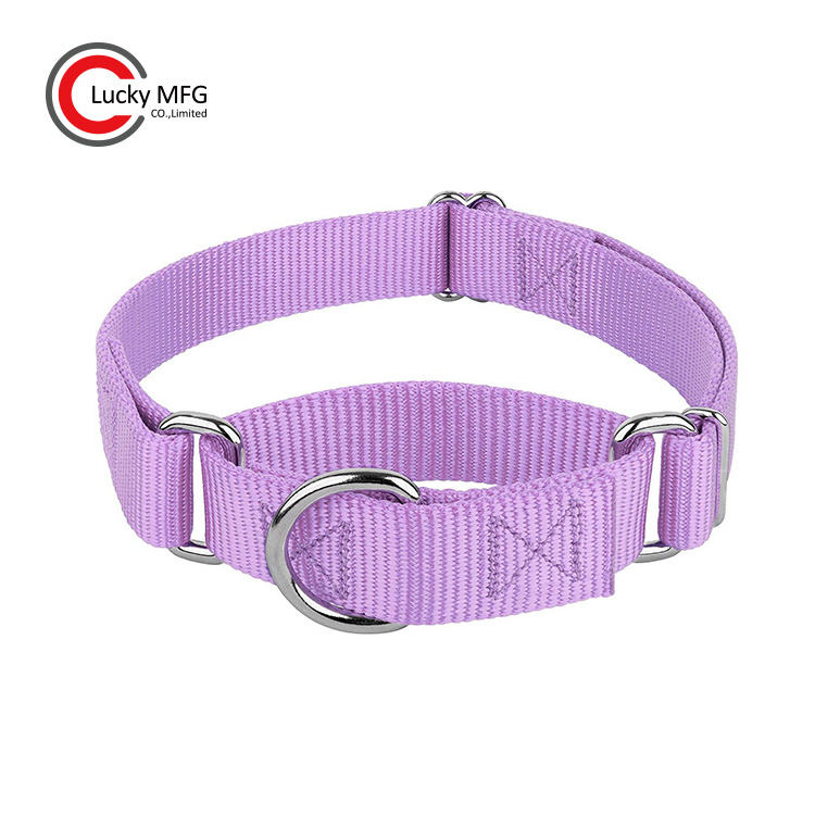 Multi Color Heavy Duty Adjustable Plain Nylon Webbing Pet Martingale Dog Collars