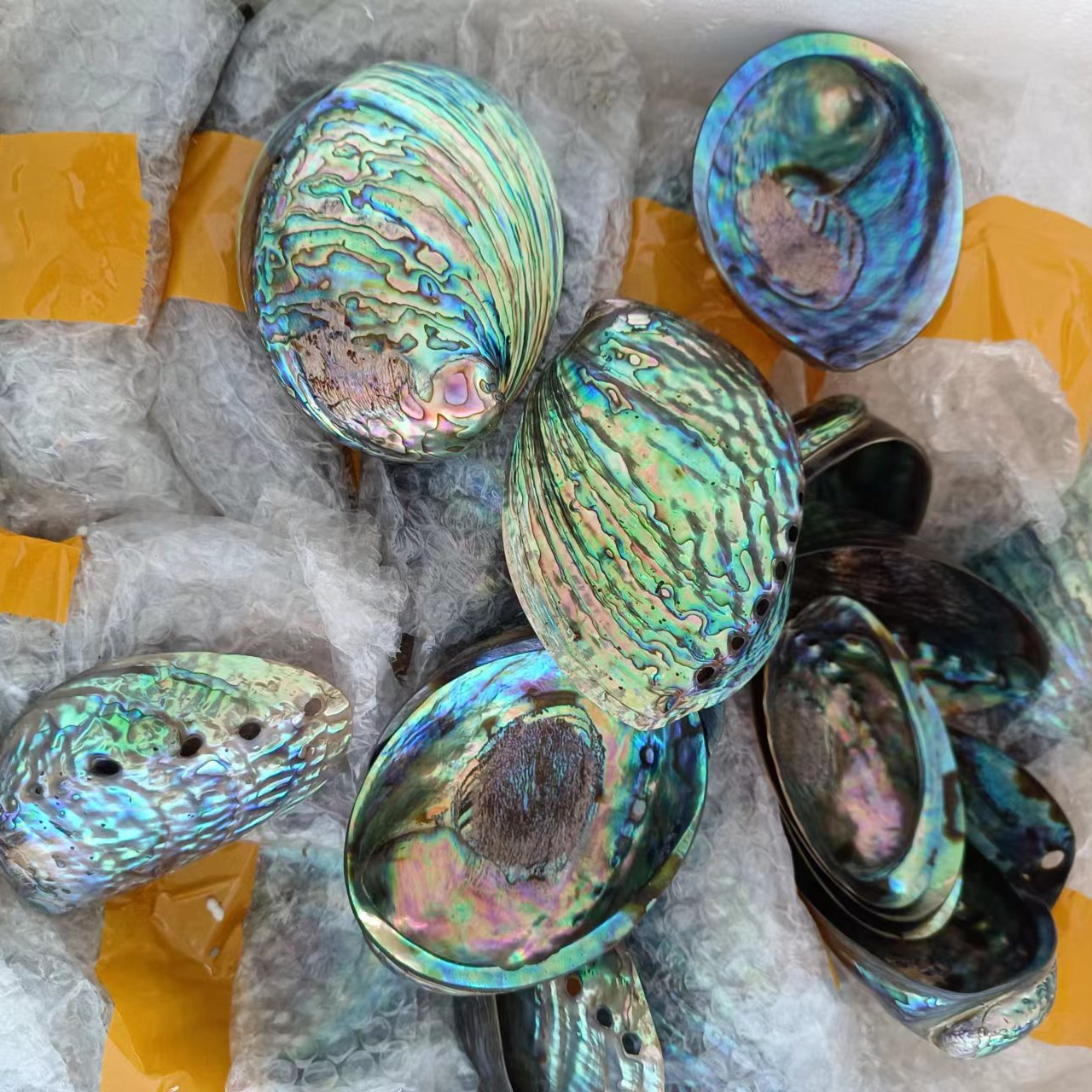 Natural Polished Blue Polished Abalone Seashell Jewelry Making Aabalone Sea Shells For Burning Sage