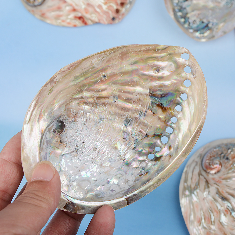 Factory directly sales polished abalone shell natural in stock with good price