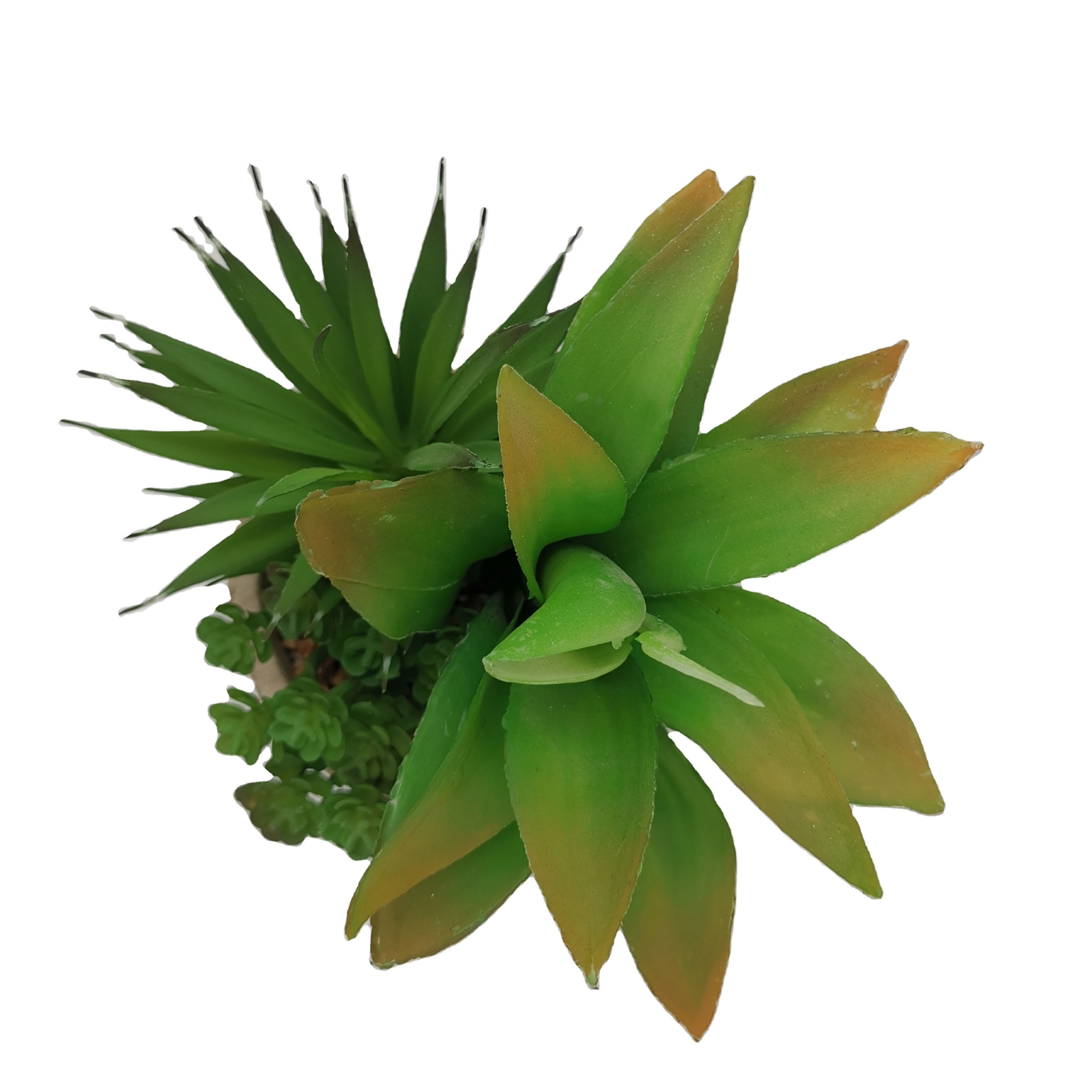 Outdoor and Indoor Decoration Succulent plants Plastic Mini Cacti Artificial Cactus aloe Plant with Pot In Stock