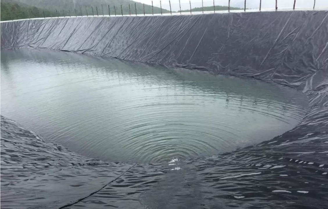 Factory direct sale HDPE Geomembrane Liner Film Black Plastic Hard Root Barrier HDPE Membrane Swimming Pond Pool Liner