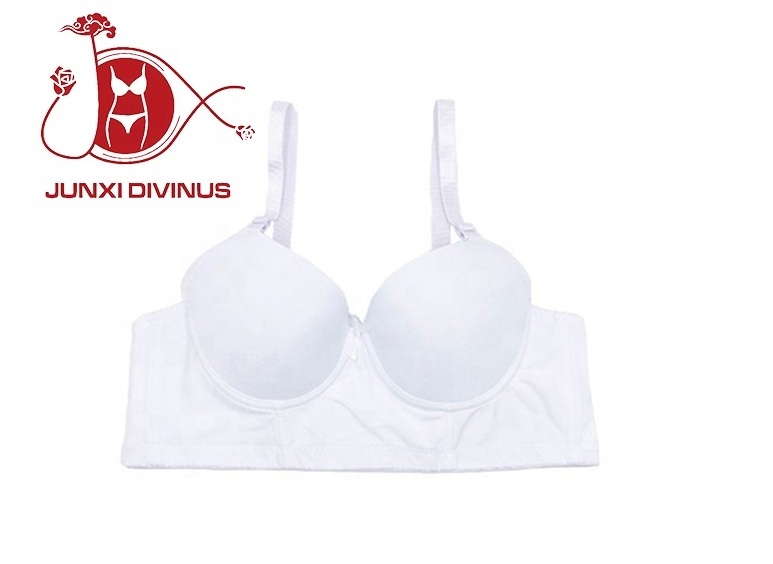 Hot Sell Push-Up And Shockproof Big Cup Women's Bra For Sports Or Daily Wear