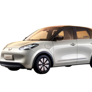 Wuling Bingo EV Adult Auto Long-Endurance Pure Electric Mini EV Car Air Electric Mini Car with Long Endurance