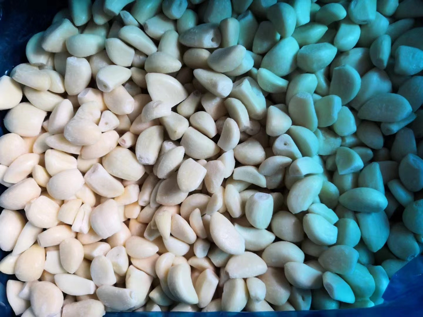 Fresh Peeled Garlic Clove 1KG Vacuum Bag Cheap Price Wholesale Peeled Garlic For Sale