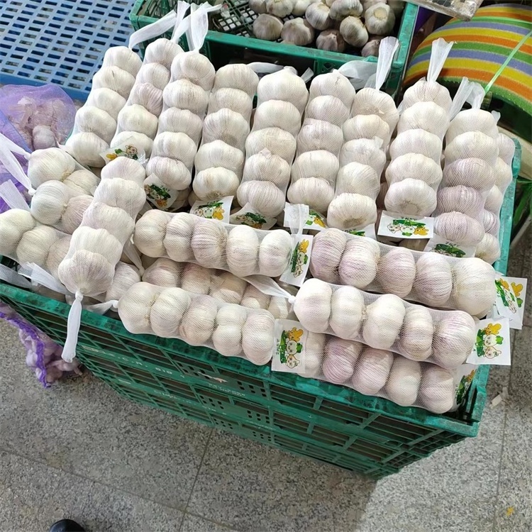 ajo super white garlic 10 KG bulk carton normal white Chinese garlic export to Australia