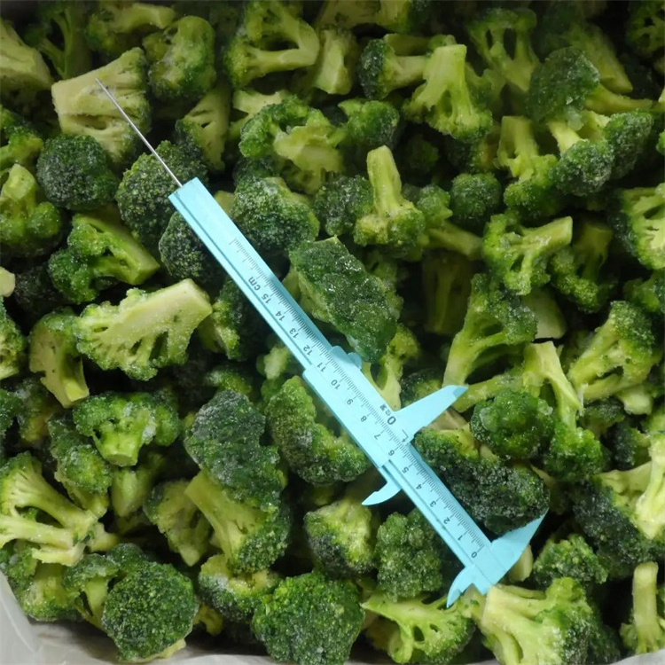 Certified Quality Professional Manufacture IQF Frozen Broccoli Florets