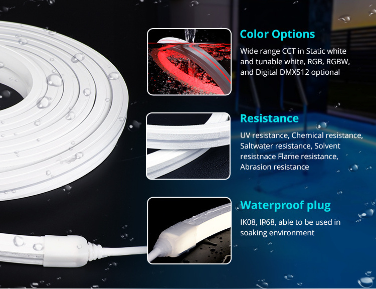 IP68 Certificate Underwater LED Neon Flex Silicone Swimming Pool LED Strip Lights Neon Rope Light IP67 Flex Waterproof Outdoor