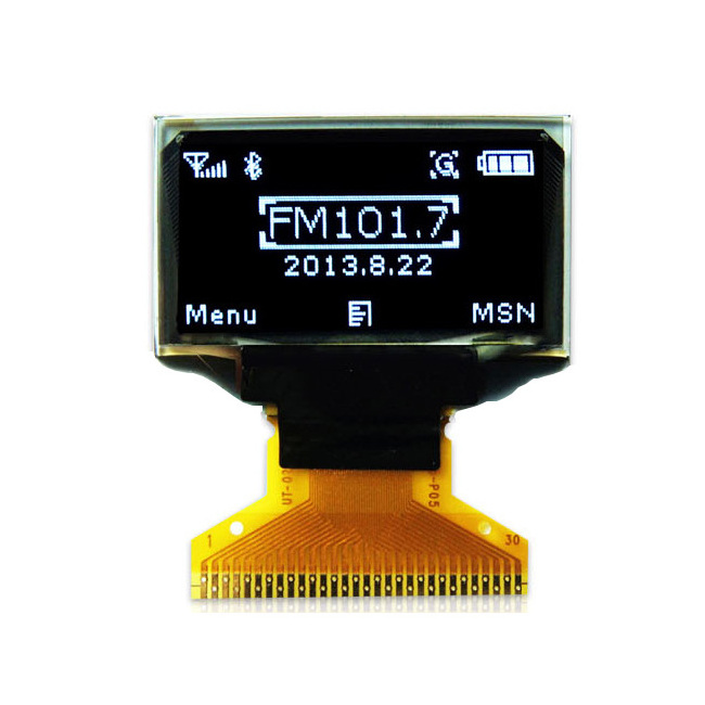 Thin Mini Small OLED Display