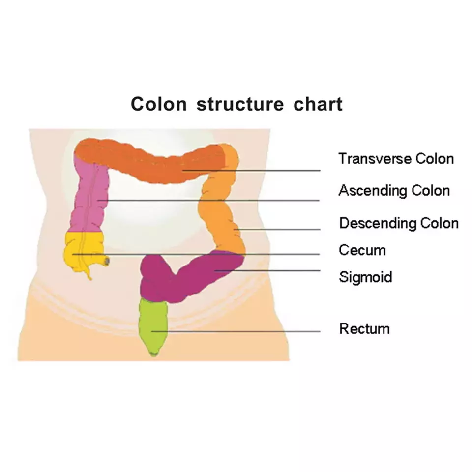 Colon Hydrotherapy Equipment