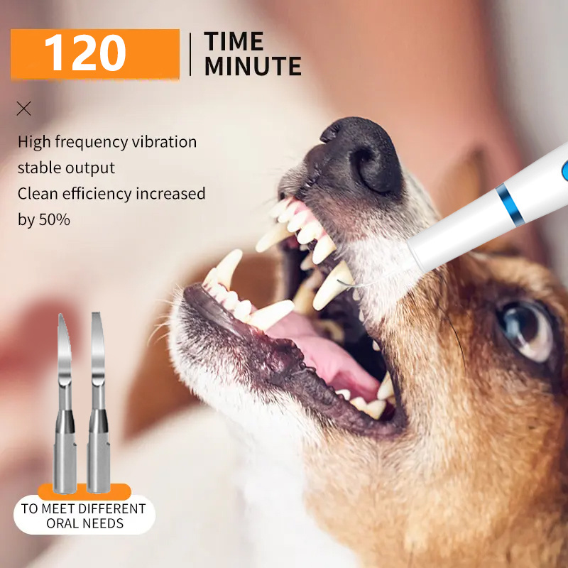 Ultrasonic Dog Teeth Cleaning Kit  Dog Teeth Stain Clean Whitening 3 Adjustable Modes Tool for Pet Dental Care