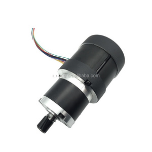 High torque Bus /car door opening 24v, 200w brushless electric DC gear motor