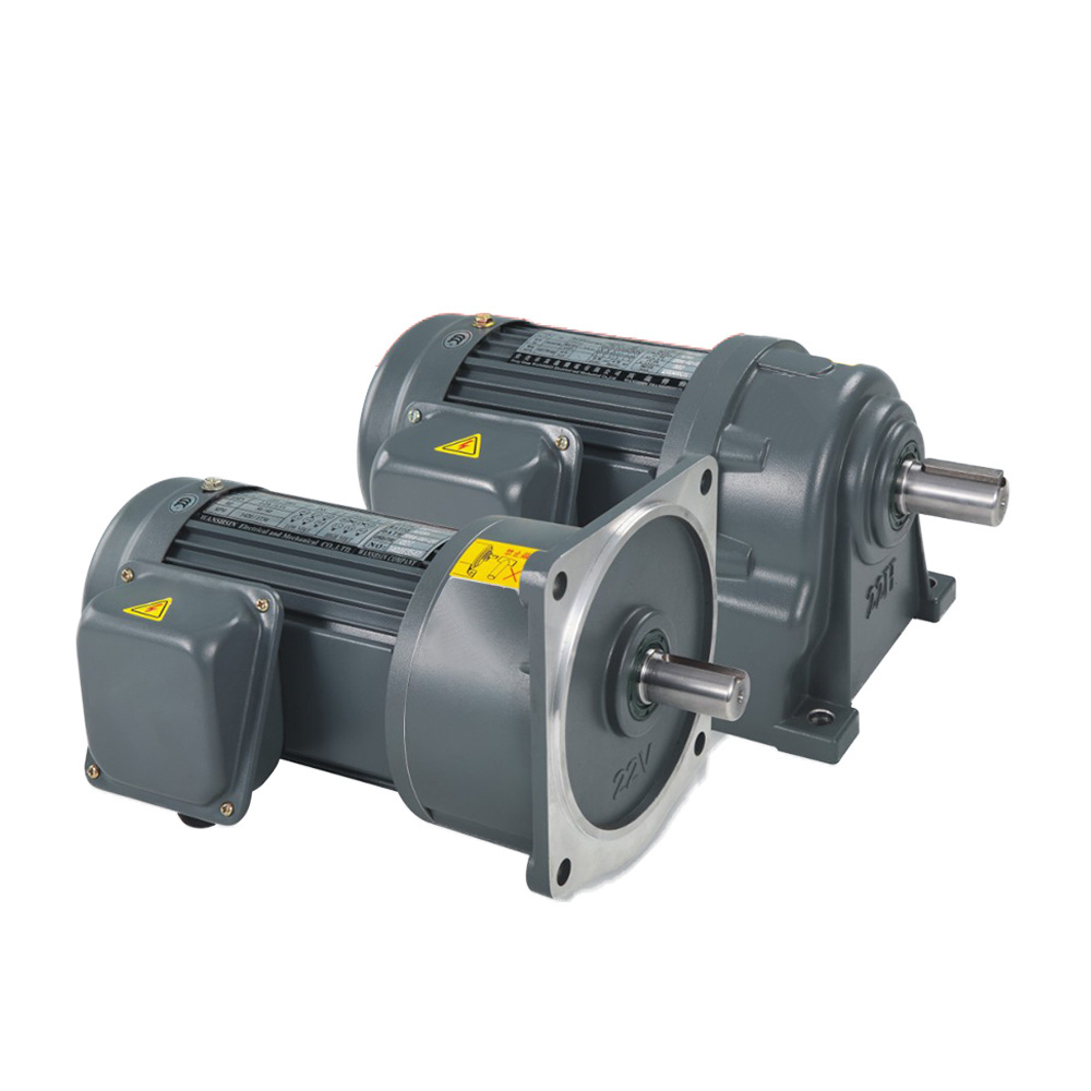 Low speed high torque small ac gear motor induction motor for packing machine