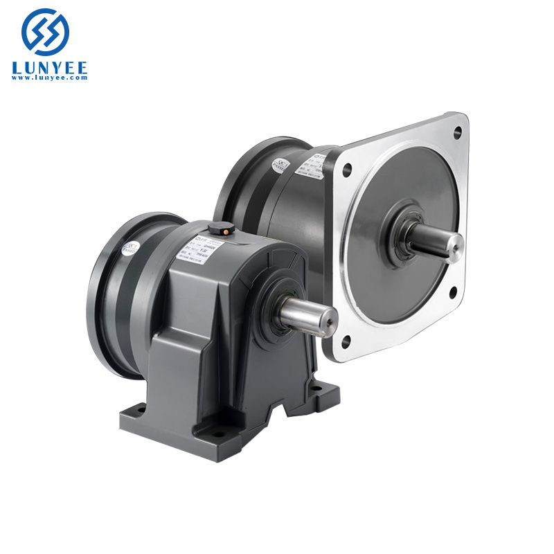 220v 230v ac single phase motor high torque low rpm vertical motor 1/2hp 1hp 2hp 3hp ac electric small gear motor