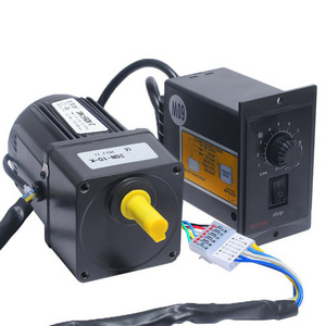 15W 110V 220v  High Torque Low Rpm Electric Variable Speed Control AC Gear Motor With Speed Controller