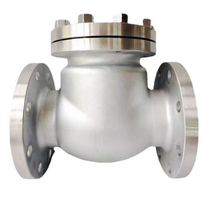 API stainless steel 304/316 Flanged end Swing Check Valve 4