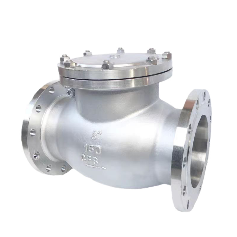 API stainless steel 304/316 Flanged end Swing Check Valve 4