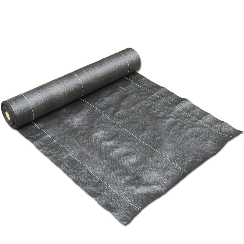 Agriculture anti UV pp woven geotextile weed control mat polyethylene plastic sheet PE double coated tarpaulin waterproof canvas