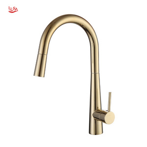 2024 Hot sale Pull Out Down Kitchen Faucets Stainless Steel Brushed Golden Sink Spray Head Kitchen Faucet