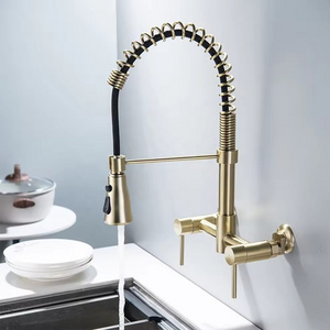 Lusa Stainless Steel Brushed Gold Hot and Cold Wall Mounted Sink Water Tap Pull Down Single Lever Kitchen Faucet