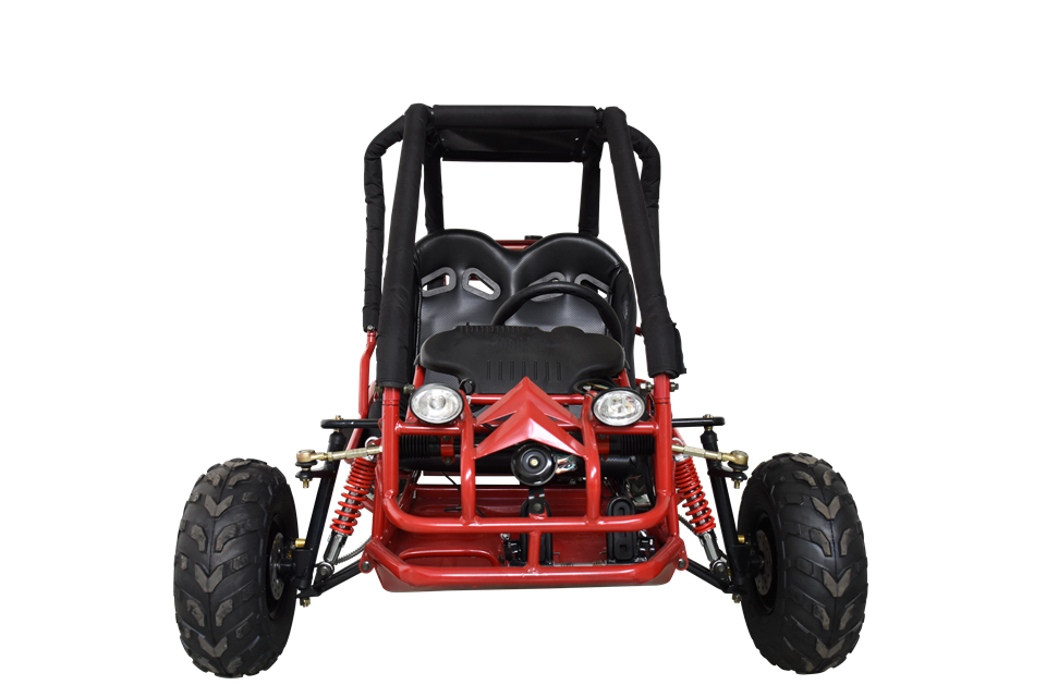 Teenager kids professional Kinroad/Tiking go kart buggy dune buggy in 110cc