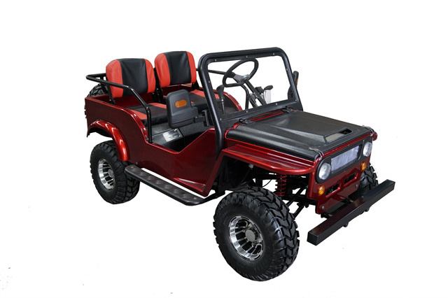 ADULT TEENAGER NEW DESIGN 125CC  JEEP GO KART BUGGY DUNEBUGGY VINTAGE CAR